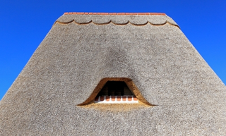 Illustration for article titled It Is Really Necessary To Fix Virtually Any Roofing Damage As Quickly As Possible